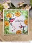 Preview: Colibri Clear Stamps Impronte D'Autore 1