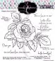 Preview: Smell the Roses Stamp & Die Bundle Colorado Craft Company
