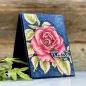 Preview: Smell the Roses Stamp & Die Bundle Colorado Craft Company 2