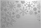 Preview: Sparkling Snowflakes Partial 3D Embossing Folder crafters companion 1