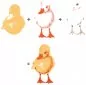 Preview: Duckling color layering stamp Hero Arts 1