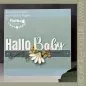 Preview: Hallo Baby Die Set FarbTon Papier 1