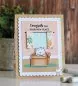 Preview: Cats and Boxes BUNDLE Stamps + Dies Gerda Steiner Designs 2