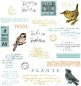 Preview: Bird Song Sizzix & 49 and Market Framelits Dies & Stamps