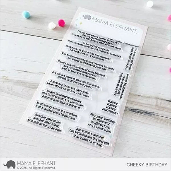 Cheeky Birthday Clear Stamps Mama Elephant