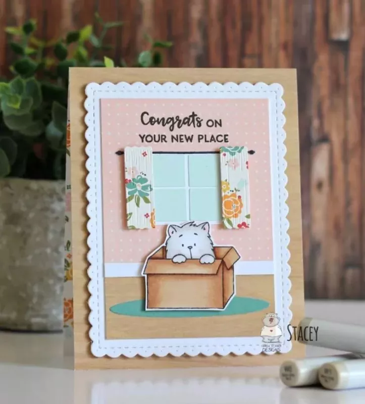 Cats and Boxes BUNDLE Stamps + Dies Gerda Steiner Designs 2