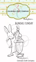 Sundae Funday - Stamp & Die Bundle - Colorado Craft Company