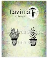 Rosemary & Thyme Pots - Clear Stamps - Lavinia