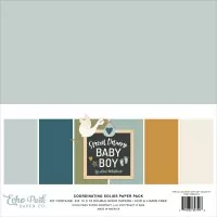 Special Delivery Baby Boy - Coordinating Solids Pack - 12"x12" - Echo Park