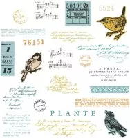 Bird Song - Framelits - Dies & Stamps - 49 and Market - Sizzix